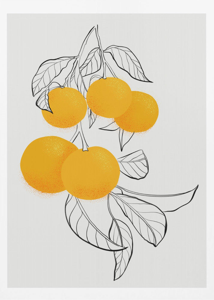 Naranjas mabel | Posters - Impresiones de Arte