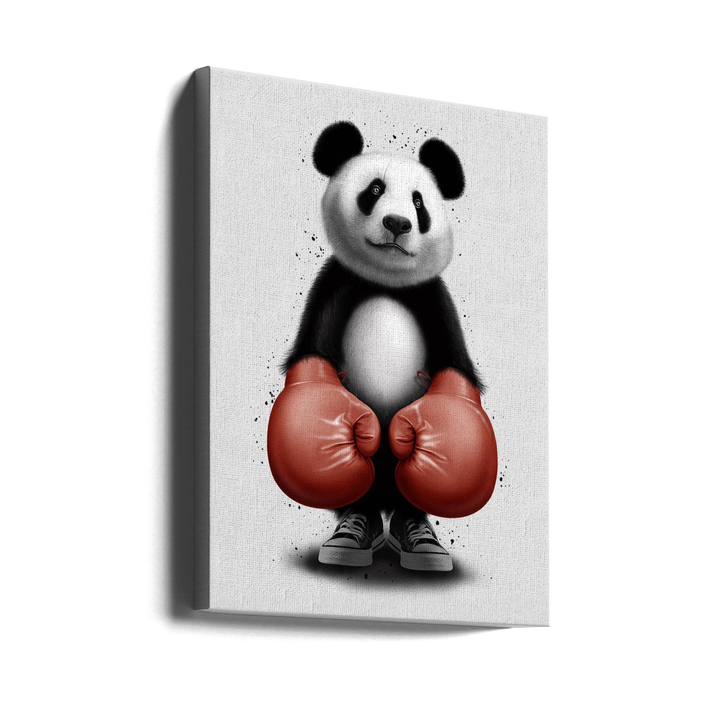 BOXER PANDA | Stampe su Tela