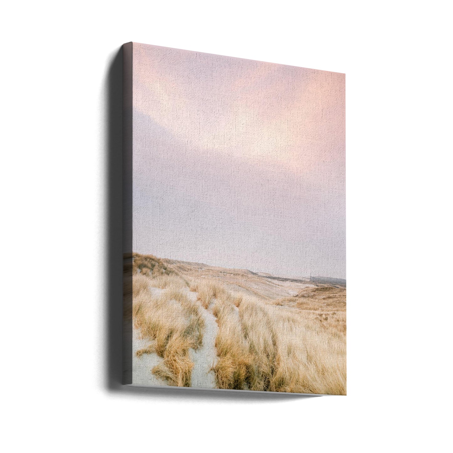 Wydmy Ameland 1 | Wydruki na łótnie