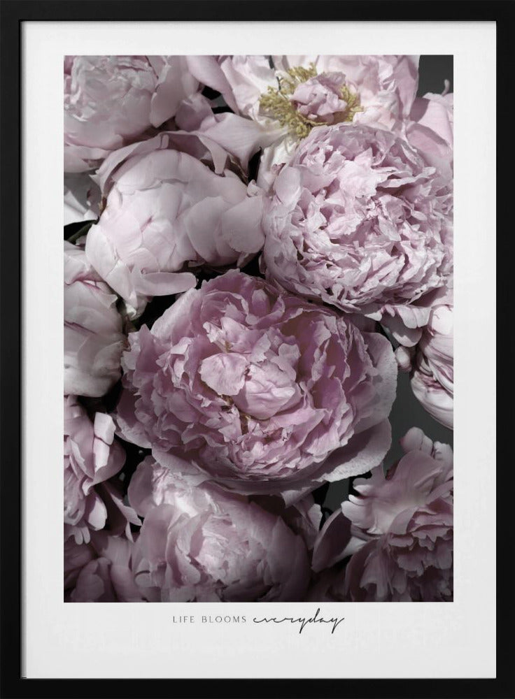 Life blooms everyday peonies | Poster