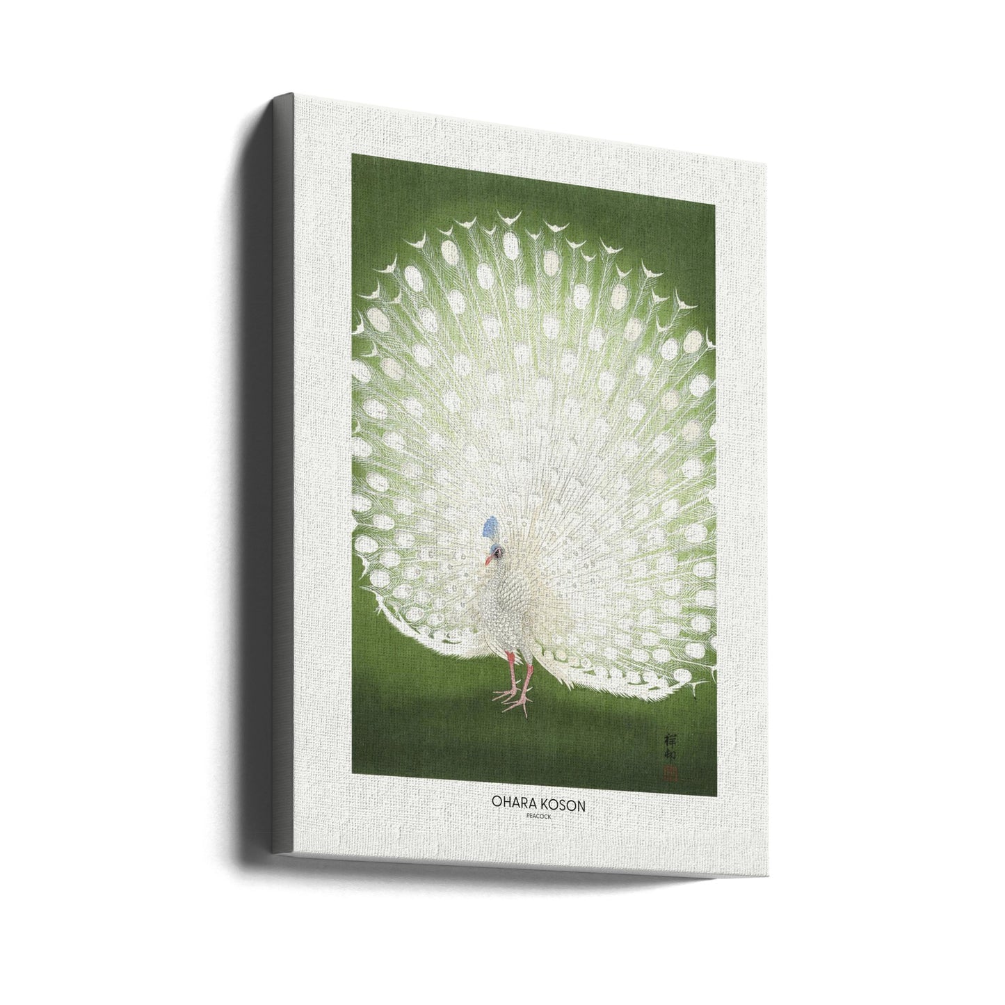 Pfau – Beschnitten | Leinwand-Bilder