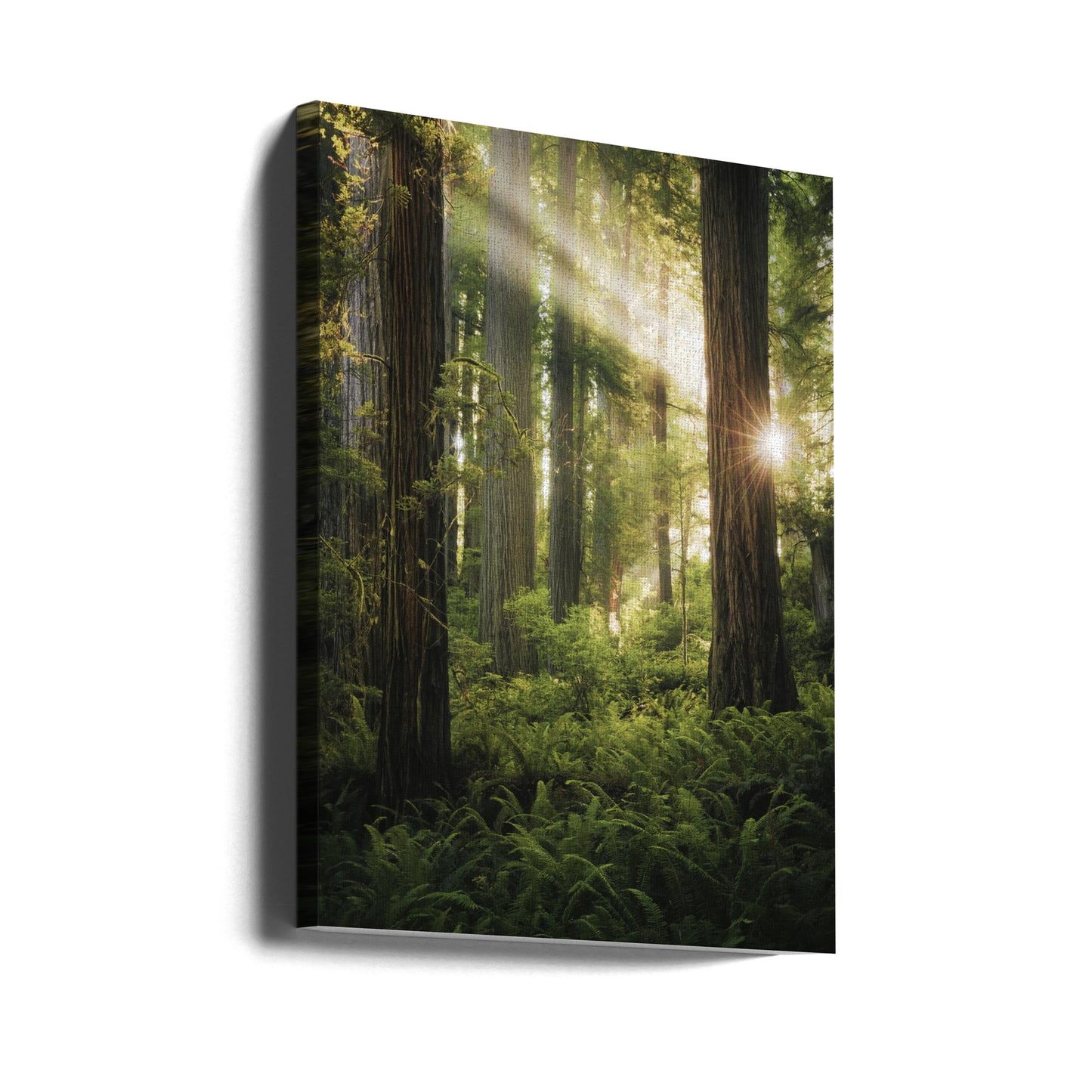 Älvskog | Canvas