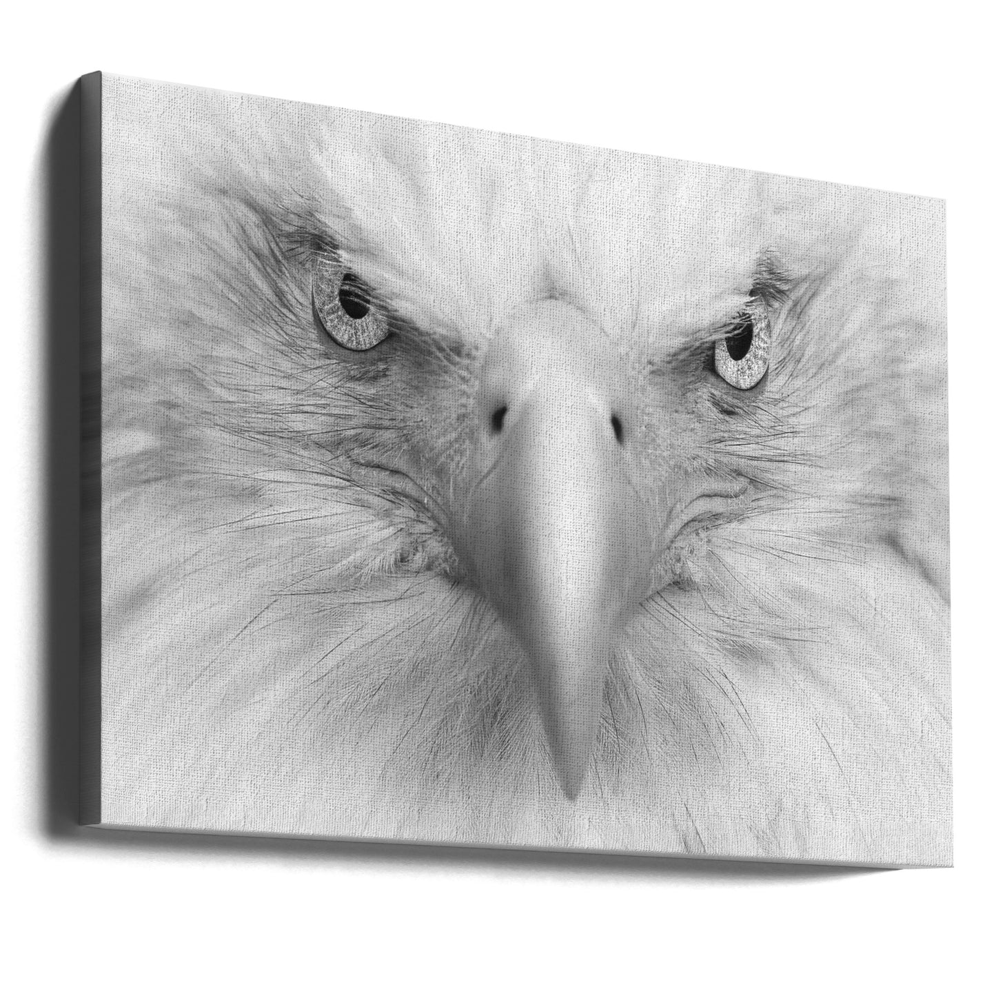 Moordende ogen | Canvasprints