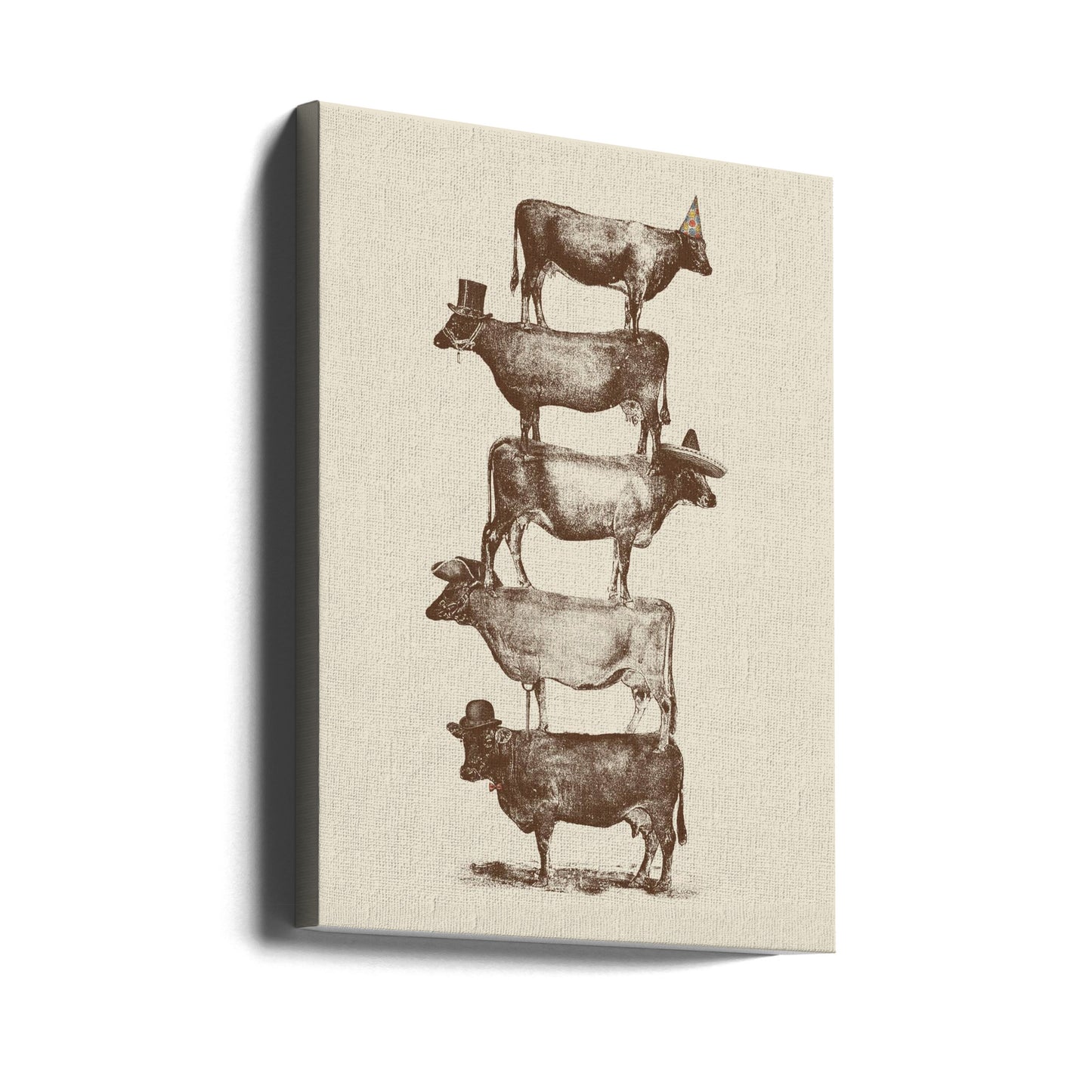 Cow Cow Nuts | Canvas