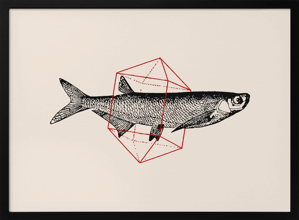 Fisk i geometri nr 2 | Poster