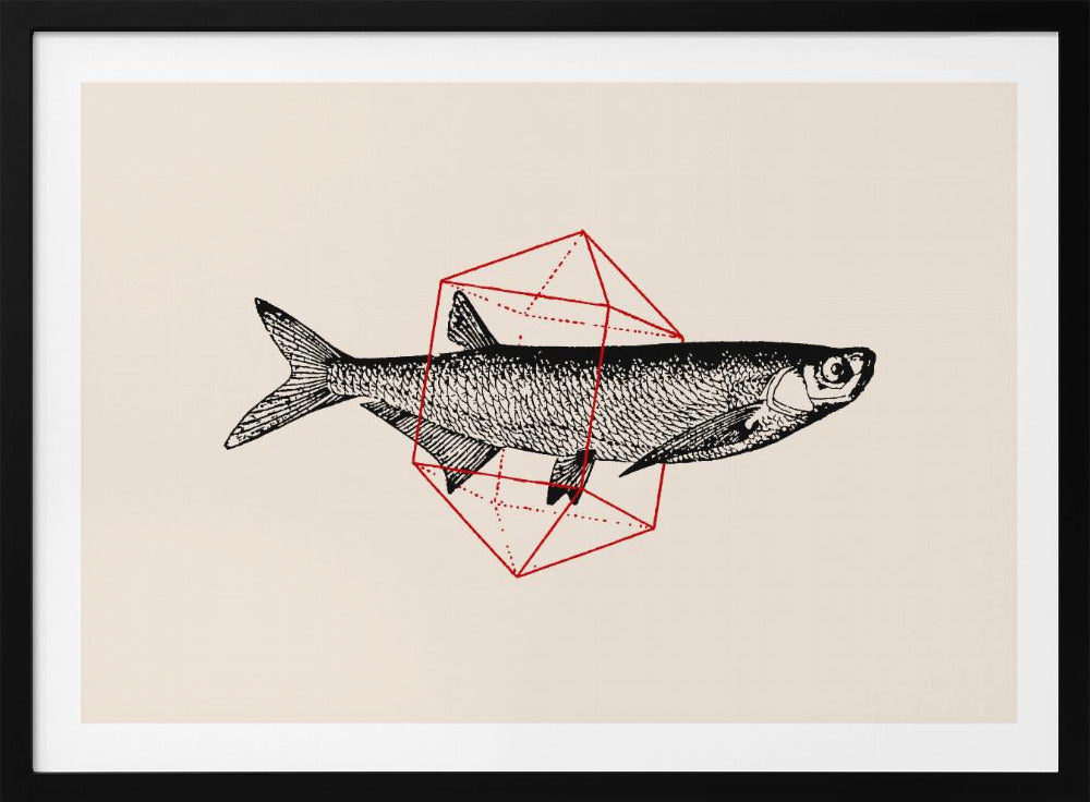 Fisk i geometri nr 2 | Poster