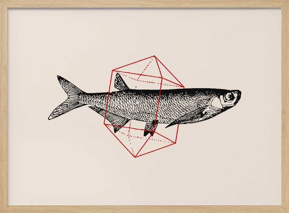 Fisk i geometri nr 2 | Poster