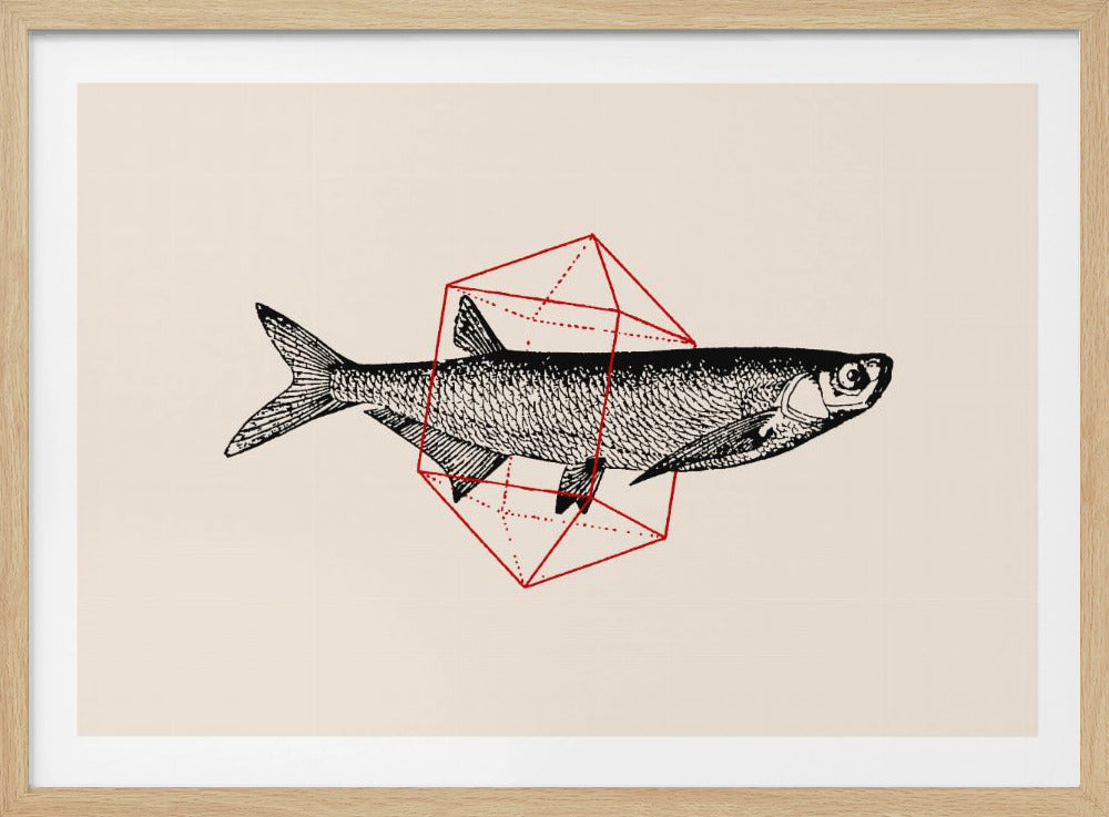 Fisk i geometri nr 2 | Poster