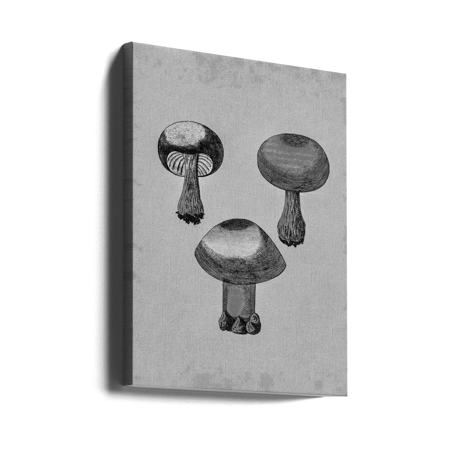 Champignon à toile violette | Tableaux sur Toile