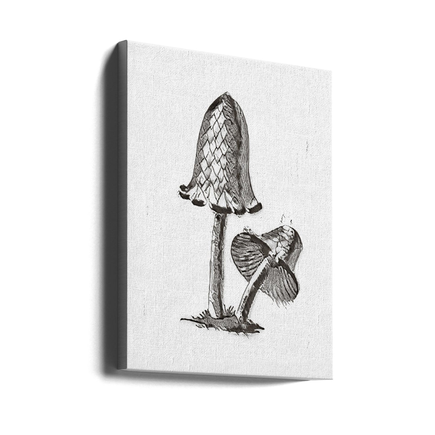 Champignon comestible vintage à capuchon d'encre BW Bright | Tableaux sur Toile