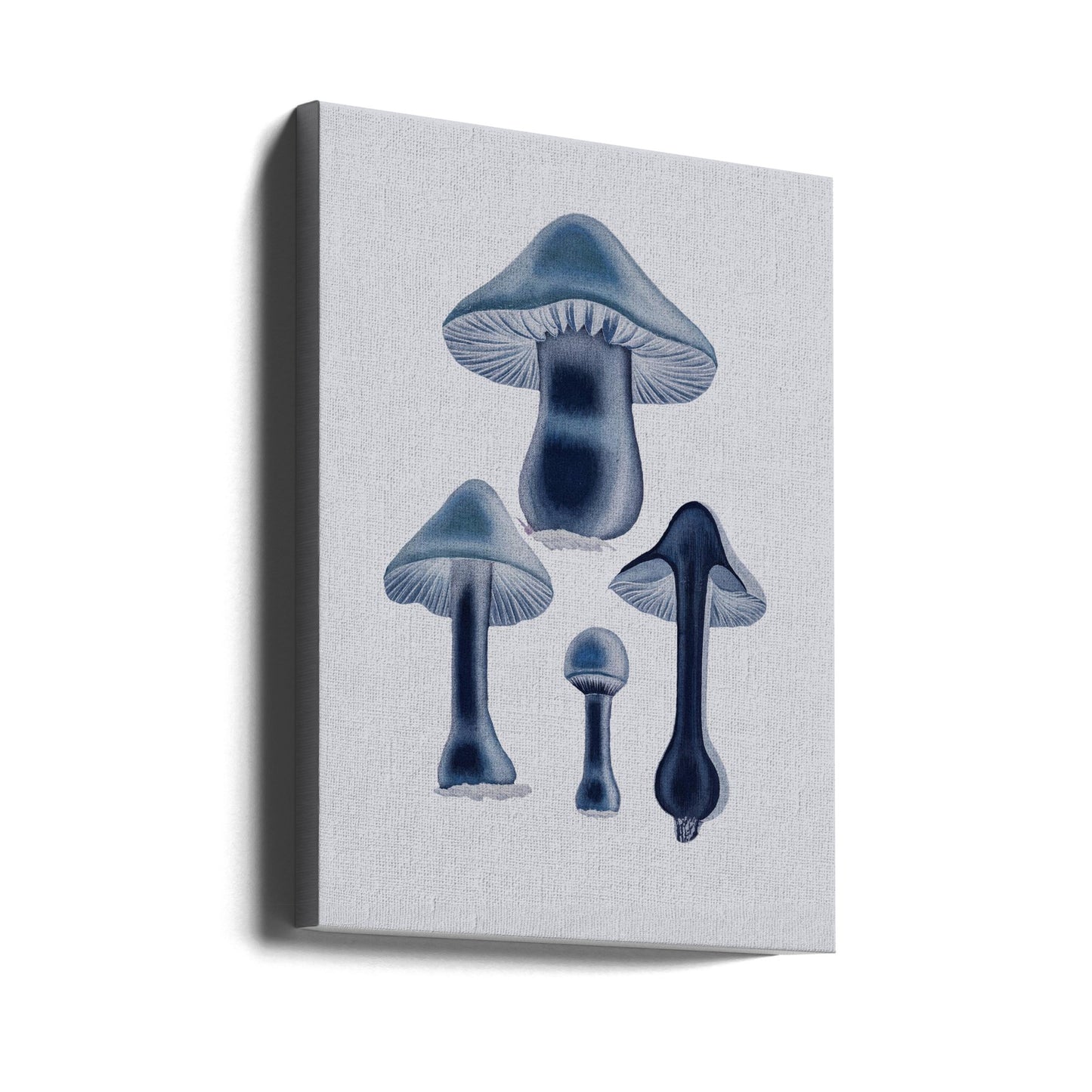 Agaricus Bulbosus - Blu | Stampe su Tela