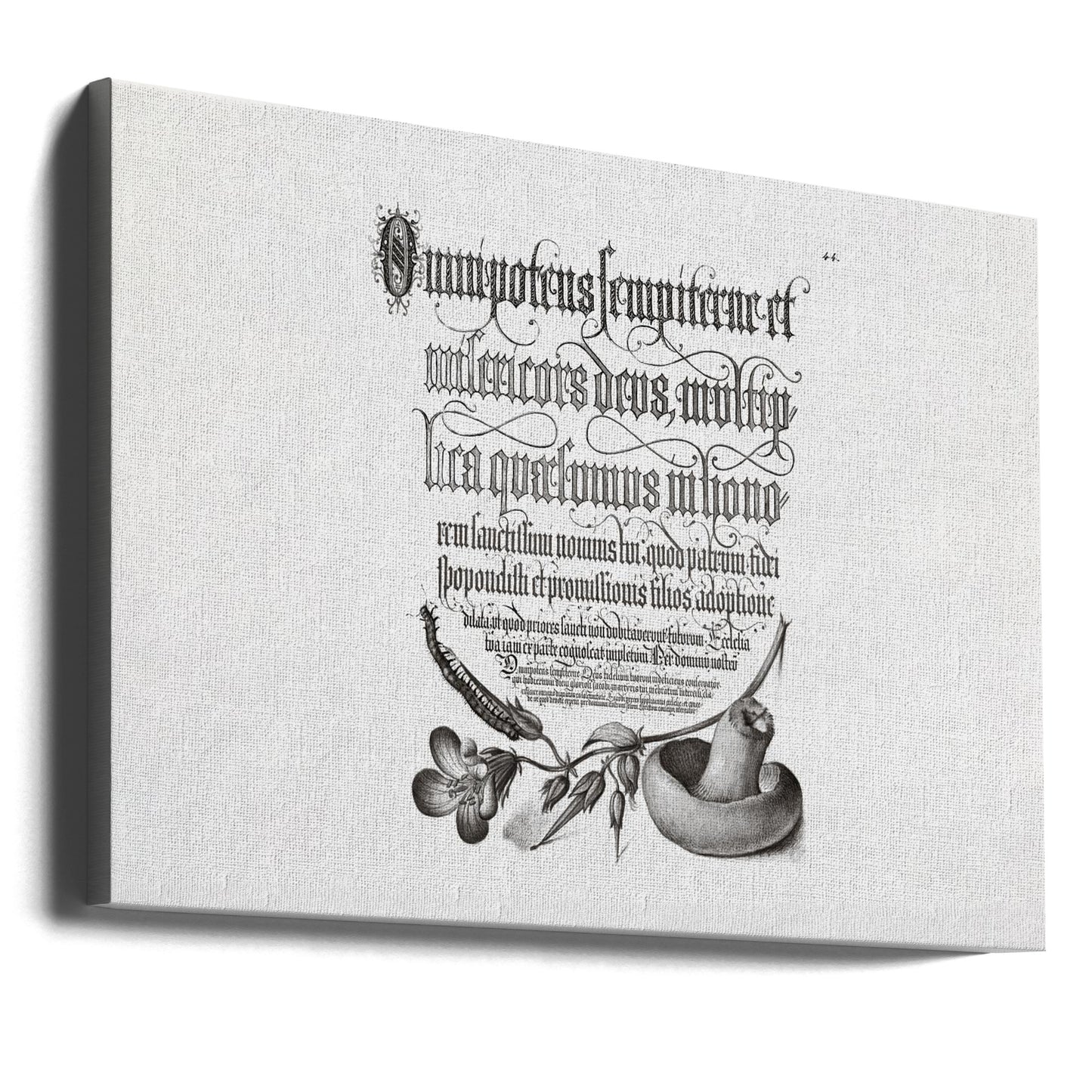 Duizendpoot, bosooievaarsbek en paddenstoel Bw horizontaal | Canvasprints