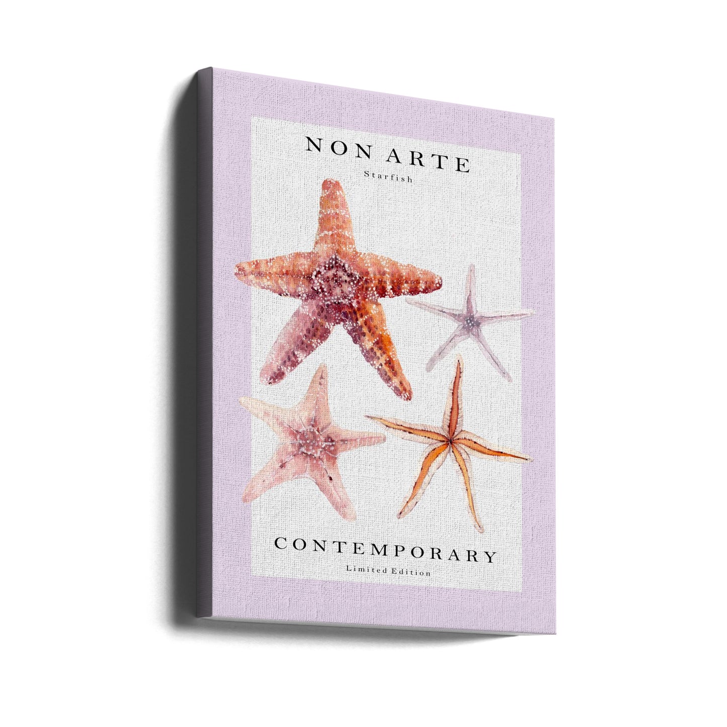 Non Arte Starfish | Stampe su Tela
