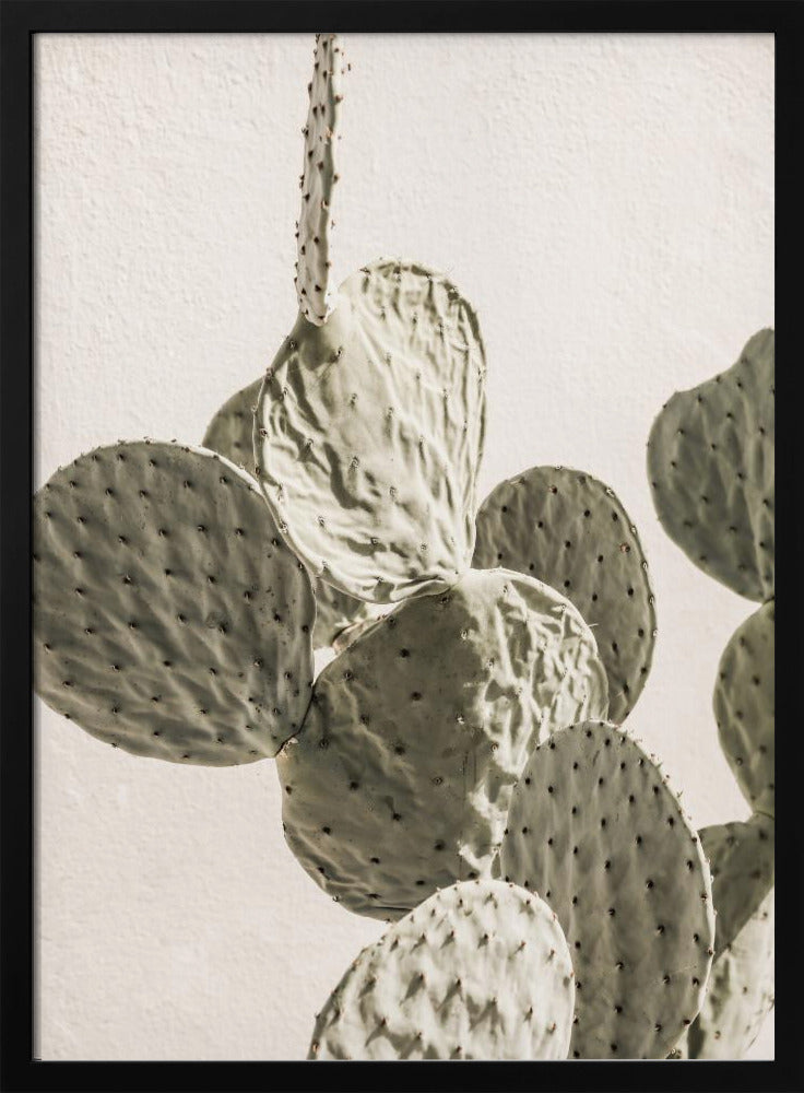 Mexi Catus 02 | Poster