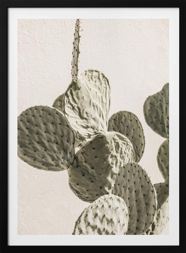 Mexi Catus 02 | Poster