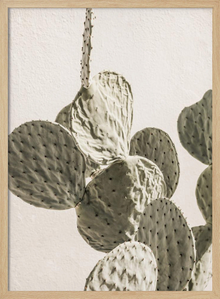 Mexi Catus 02 | Poster