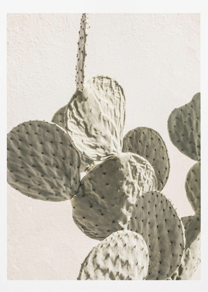 Mexi Catus 02 | Poster