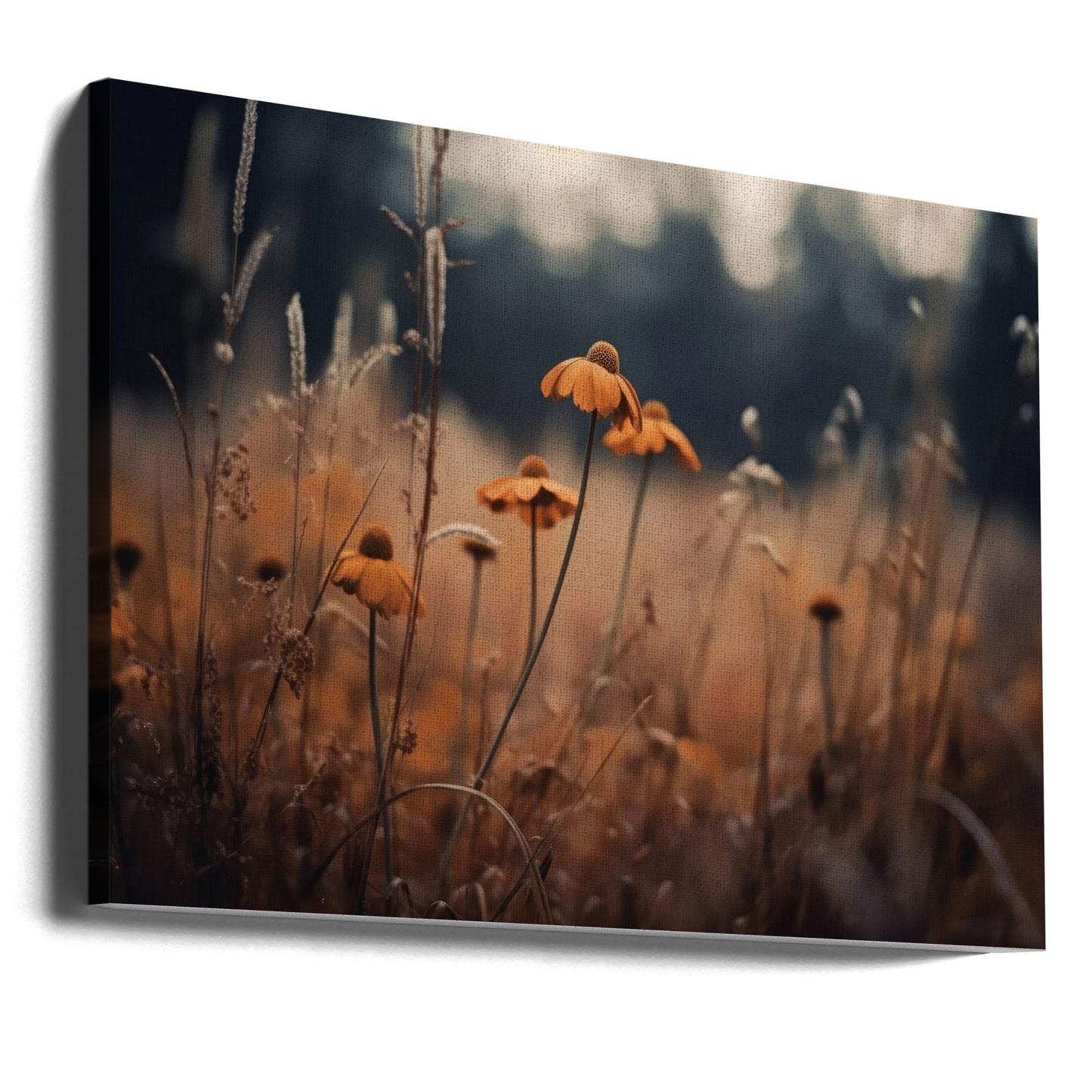 Orangen-Margaritas | Leinwand-Bilder