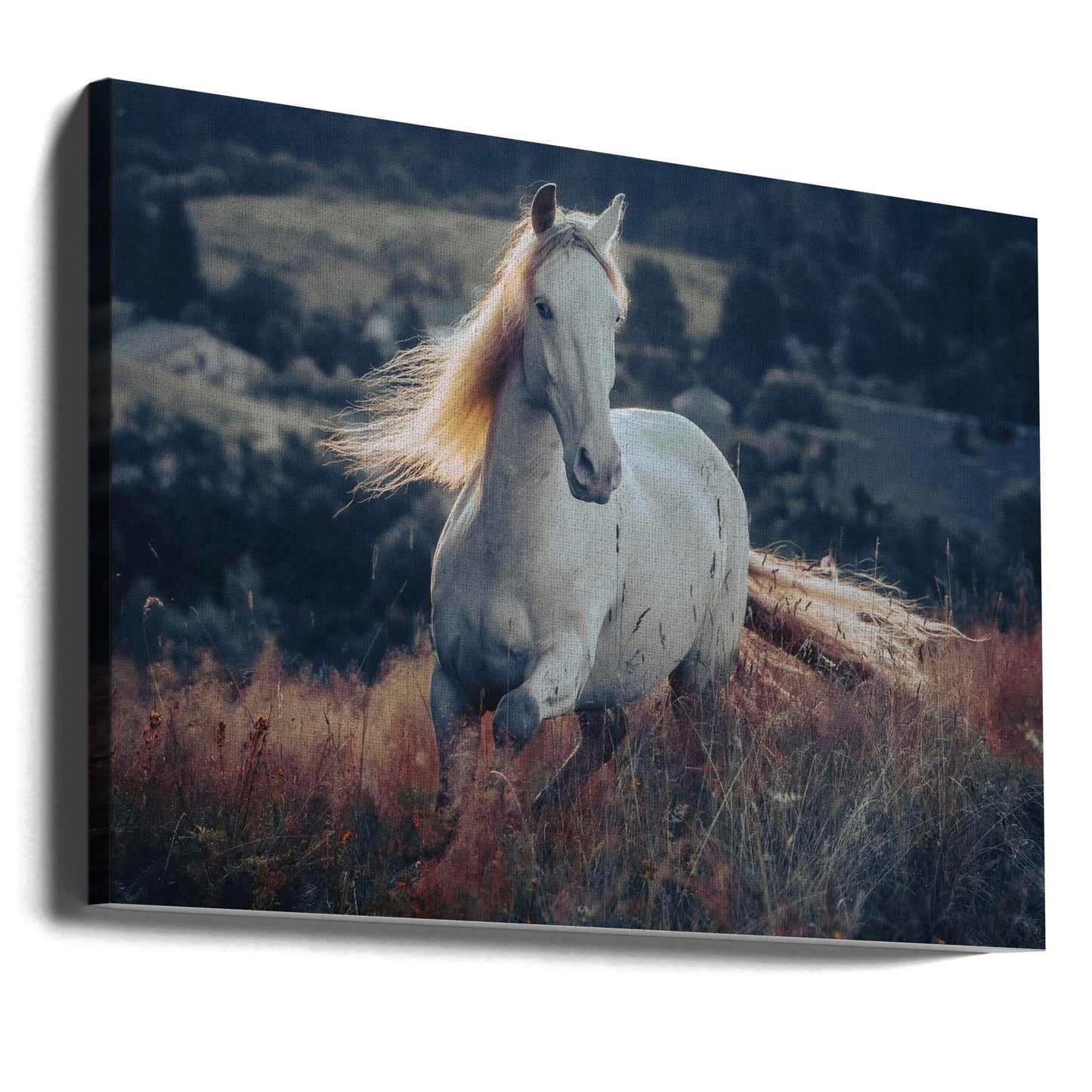 une courte histoire sur le lever du soleil | Tableaux sur Toile
