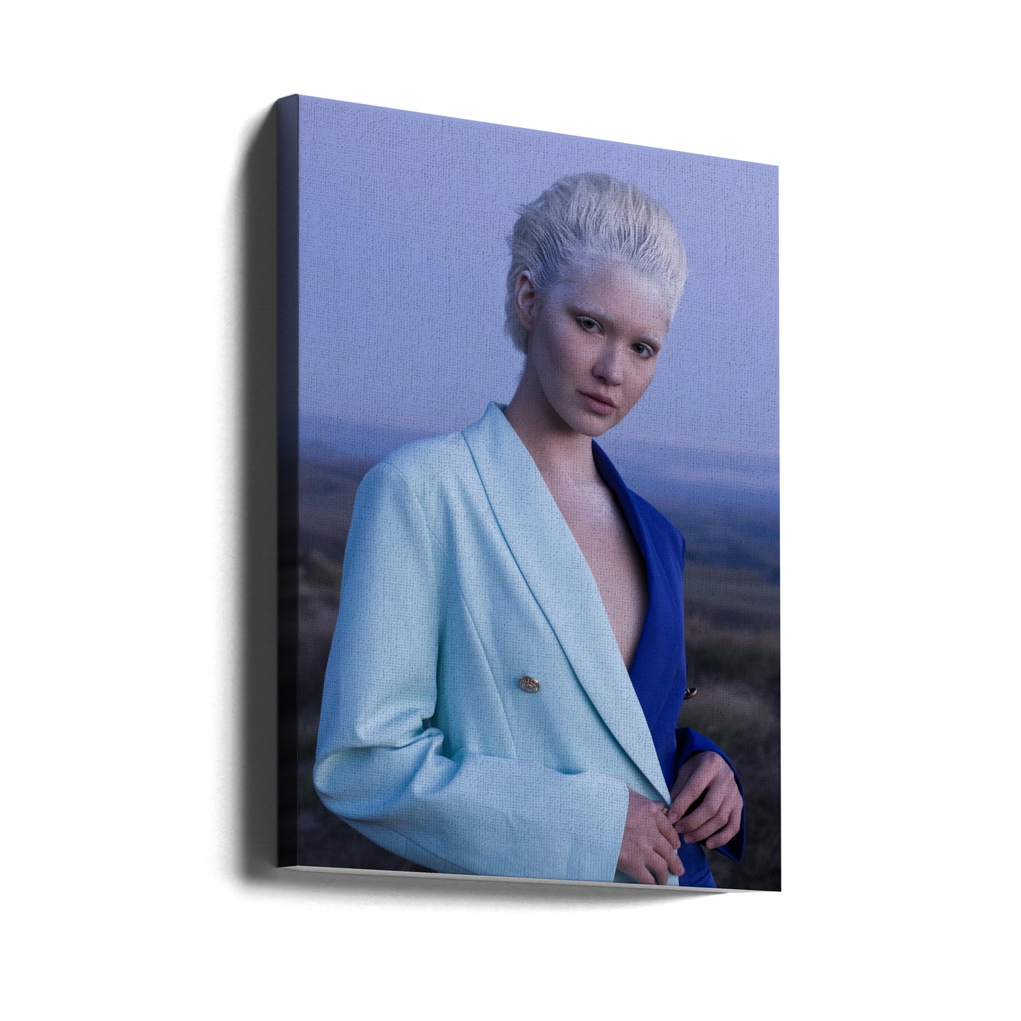 THE SNOW QUEEN | Canvas