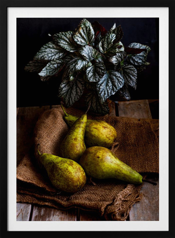 peras | Posters - Impresiones de Arte