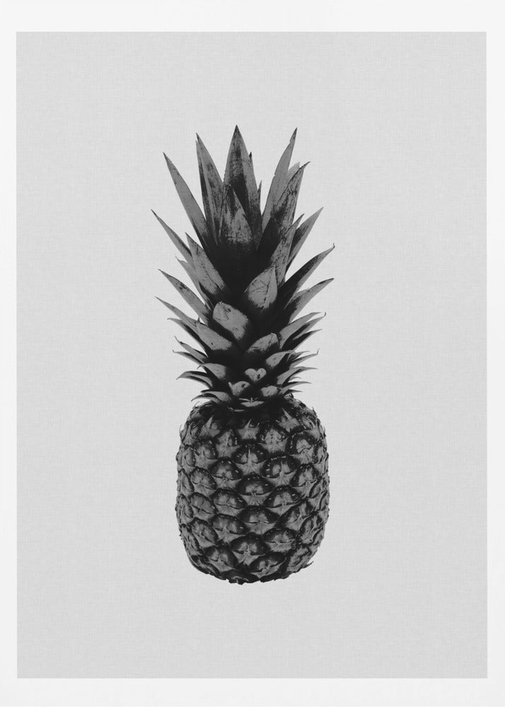 Ananas Bianco e Nero | Poster - Stampe d’Arte