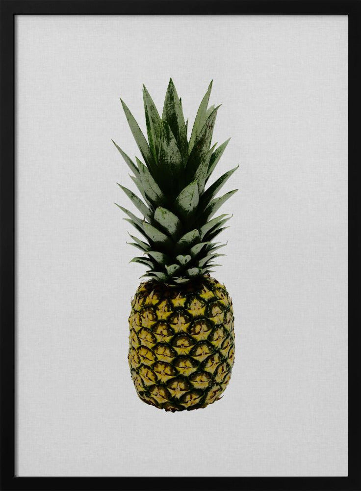 Ananas | Plakaty - Wydruki Artystyczne