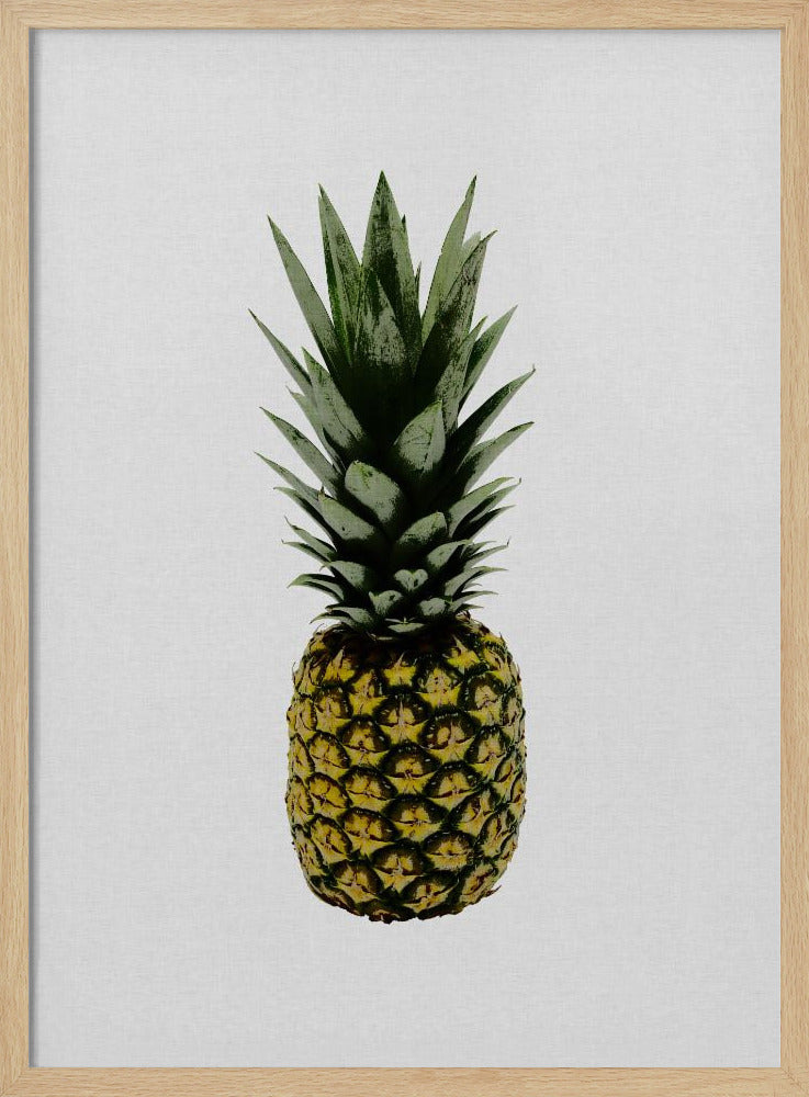 Ananas | Plakaty - Wydruki Artystyczne