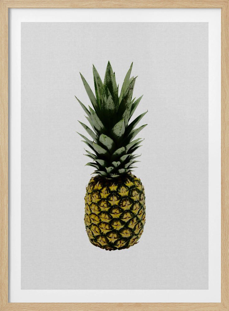 Ananas | Plakaty - Wydruki Artystyczne