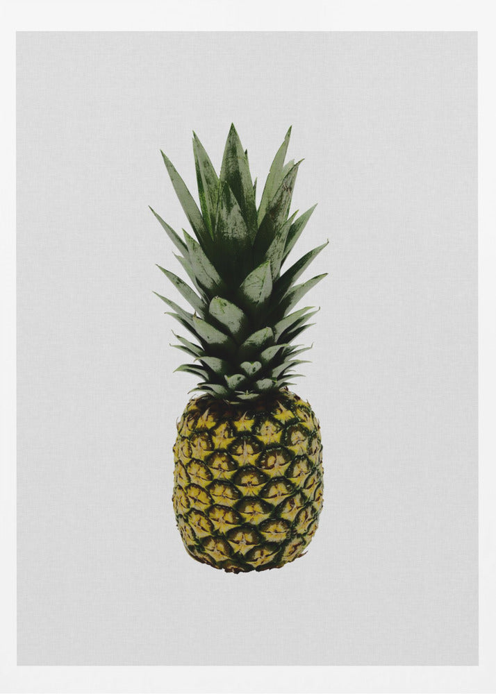 Ananas | Plakaty - Wydruki Artystyczne