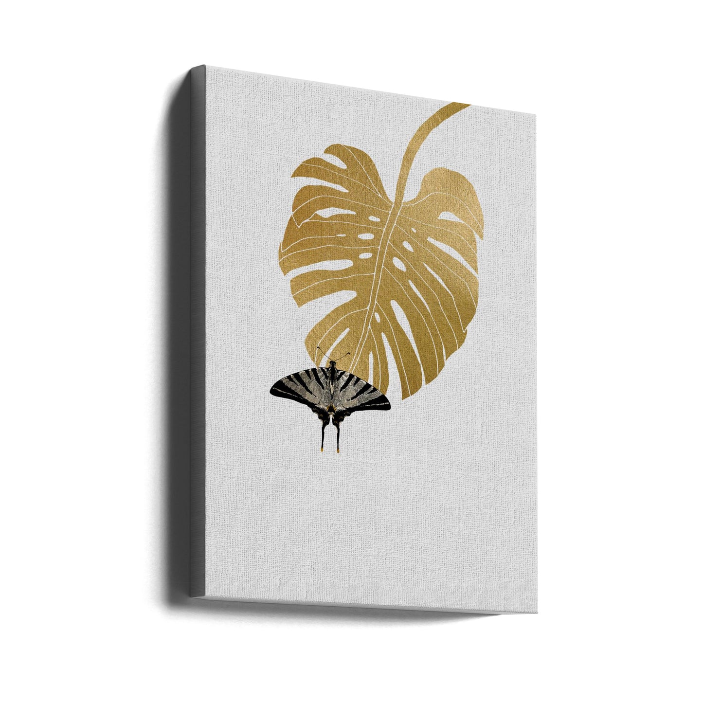 Papillon et feuille de Monstera | Tableaux sur Toile