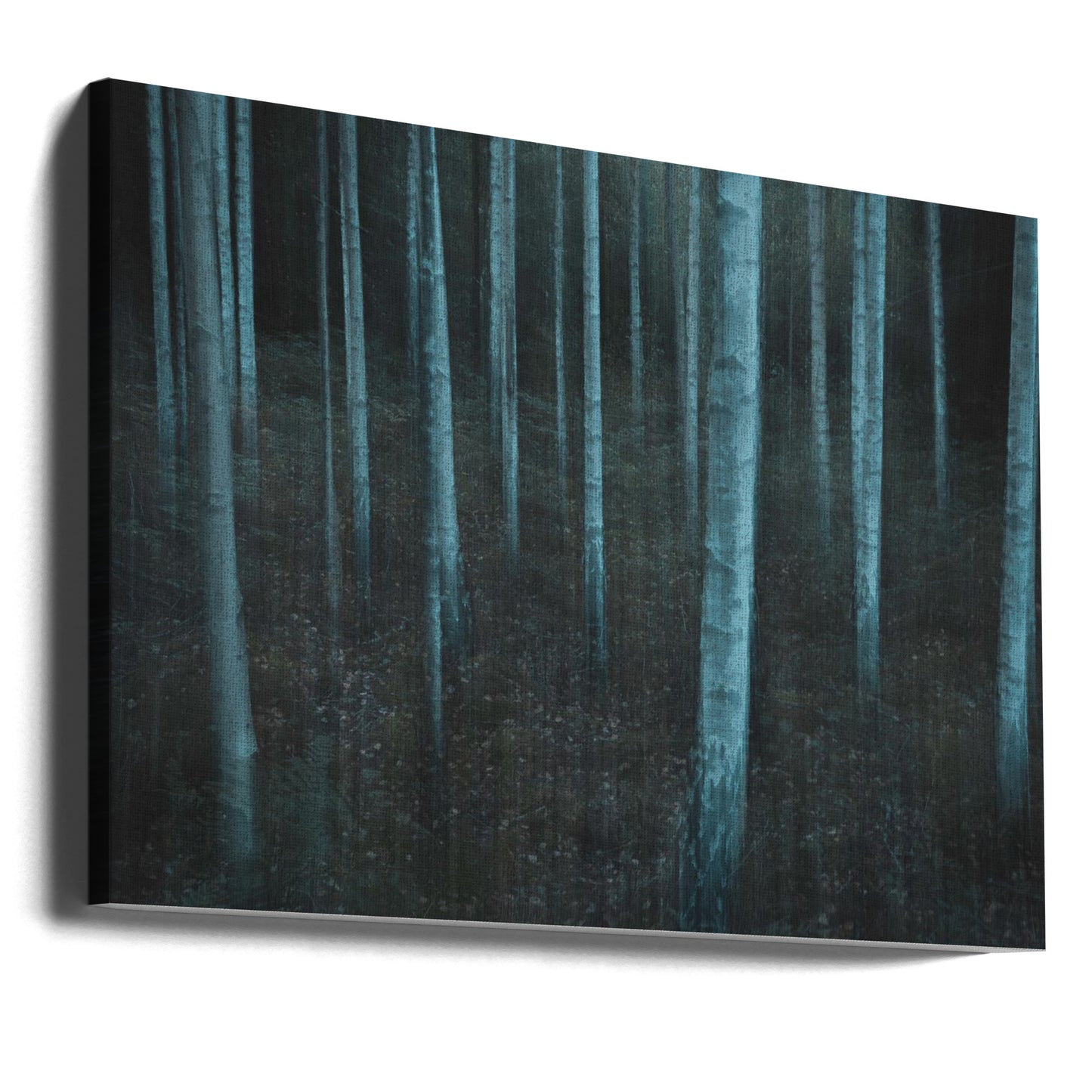 ICM v3 | Canvastaulut