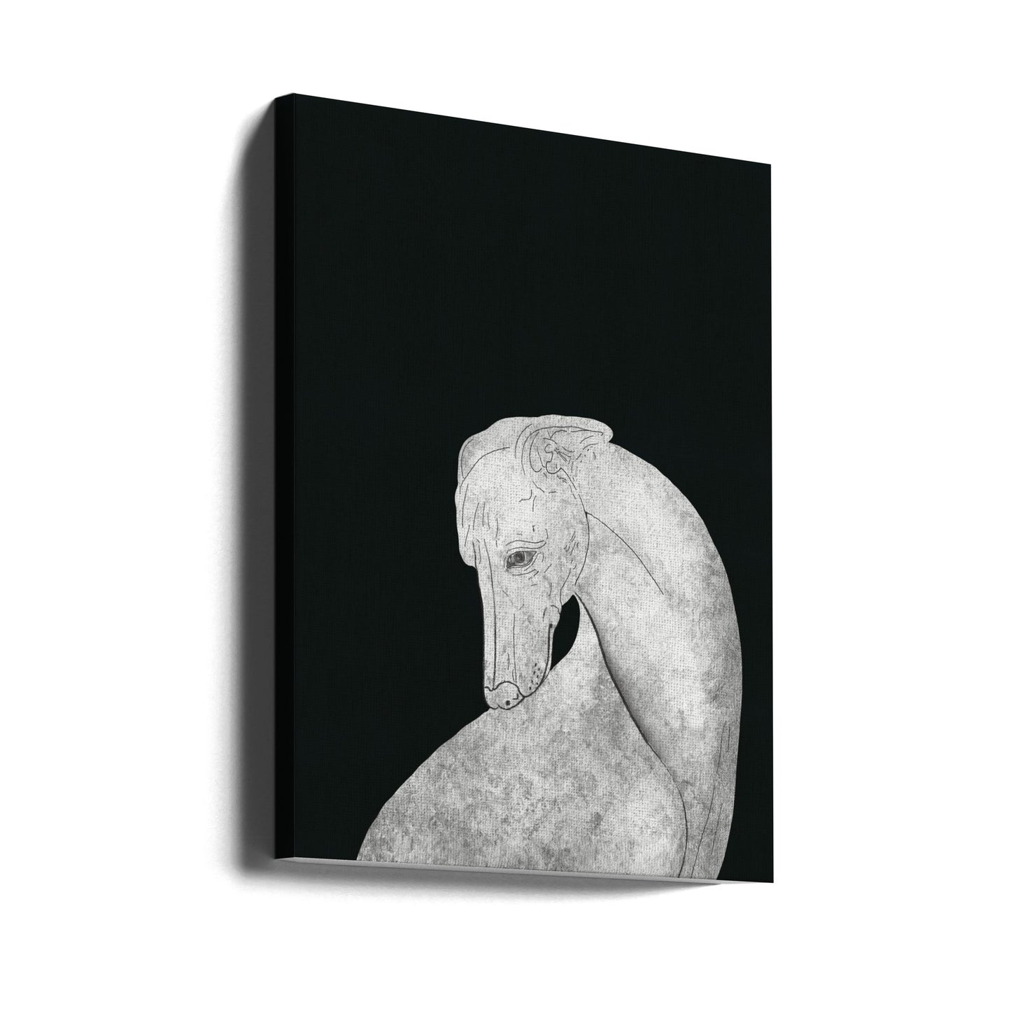 Svart och vit vinthund | Canvas