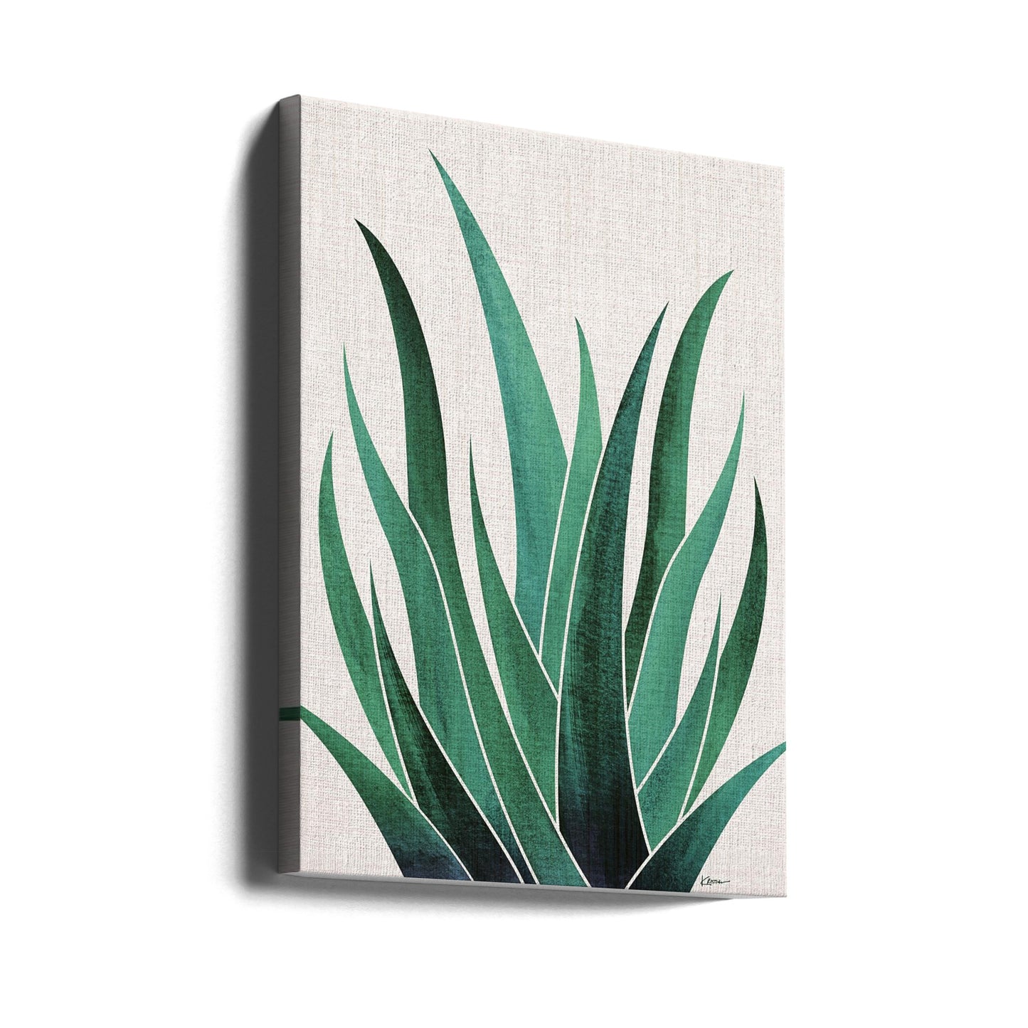 Cactus di agave del deserto | Stampe su Tela