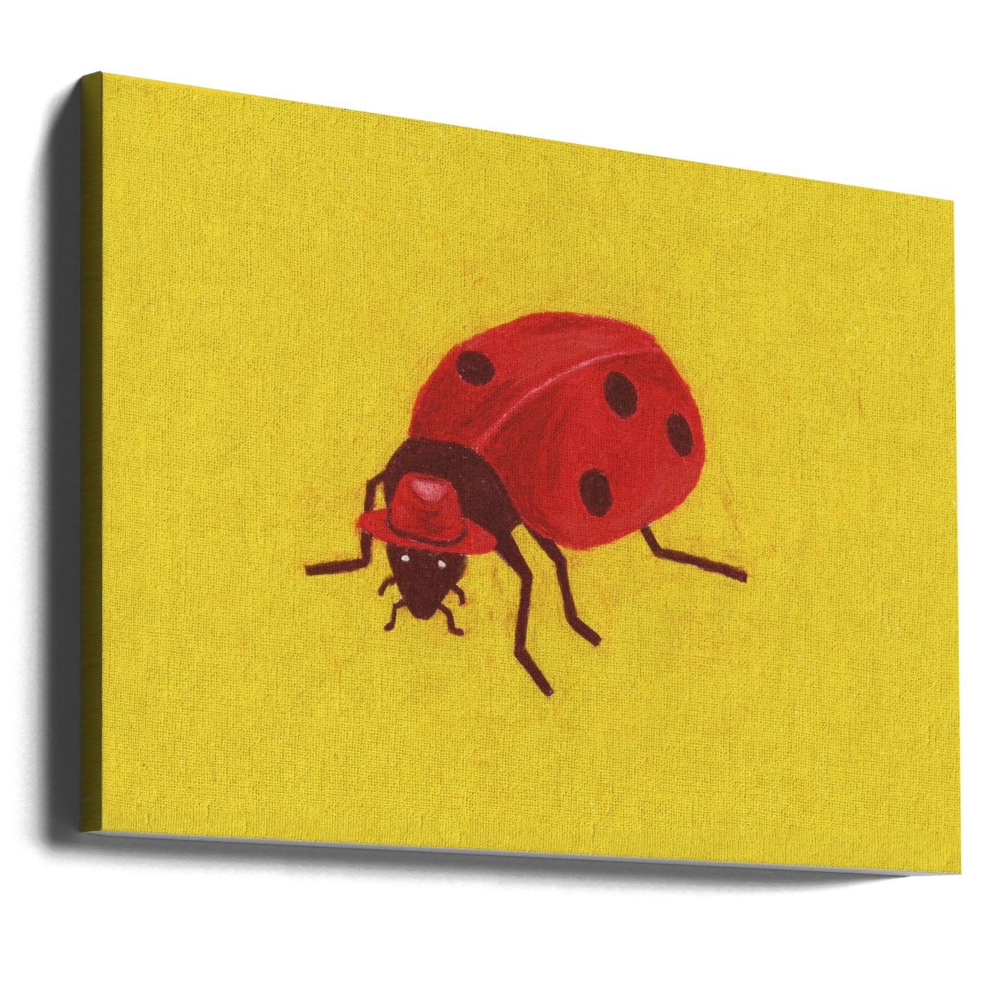 Coccinelle | Tableaux sur Toile