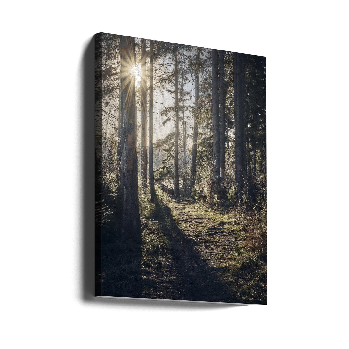 Dsf2913 HDR 1 | Stampe su Tela