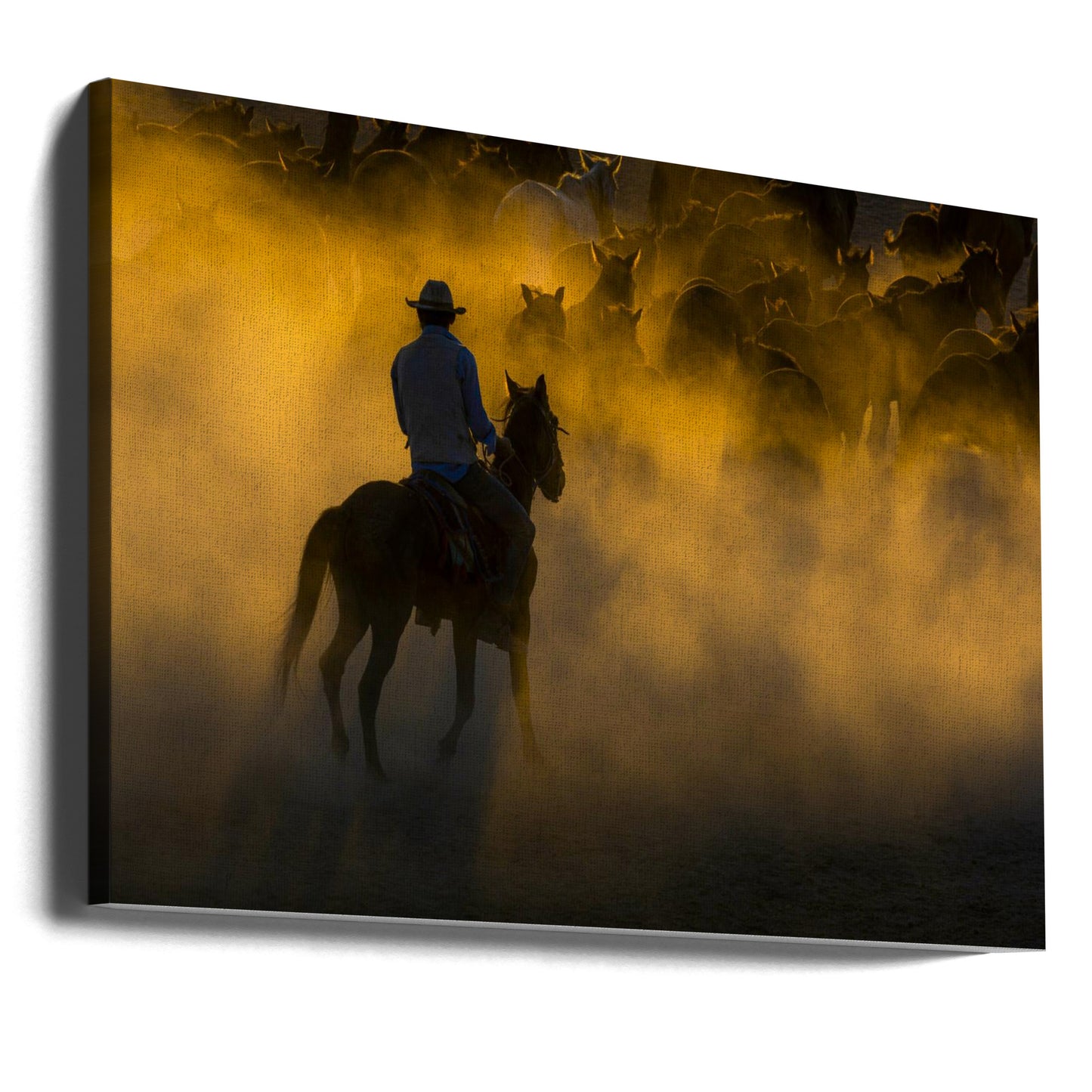 Cowboy und Pferde | Leinwand-Bilder
