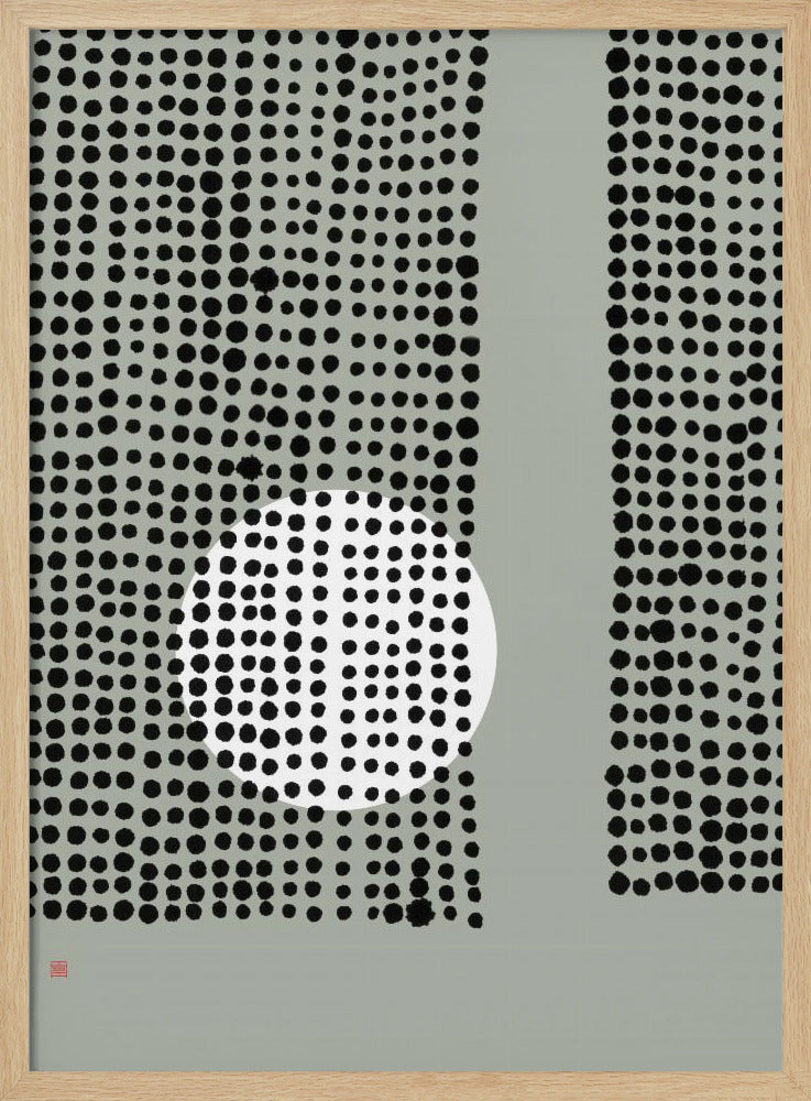 Dold måne nr 4 | Bakom gardinerna | Poster