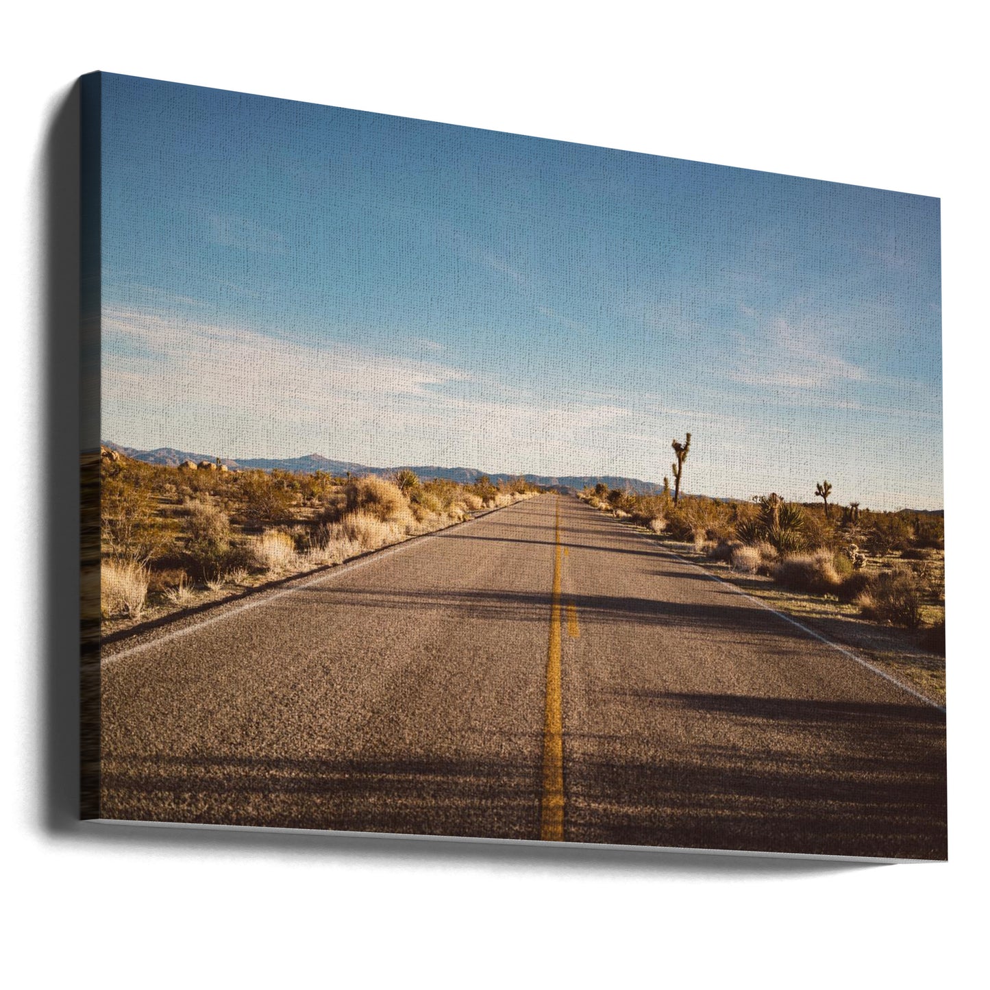 Joshua Tree-veien | Lerretsbilder