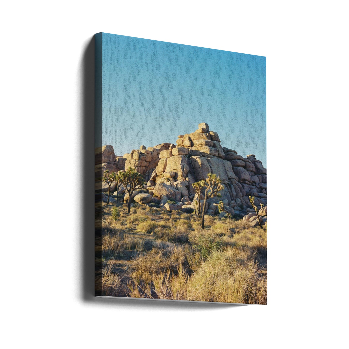 Sonnenuntergang im Joshua Tree Nationalpark | Leinwand-Bilder