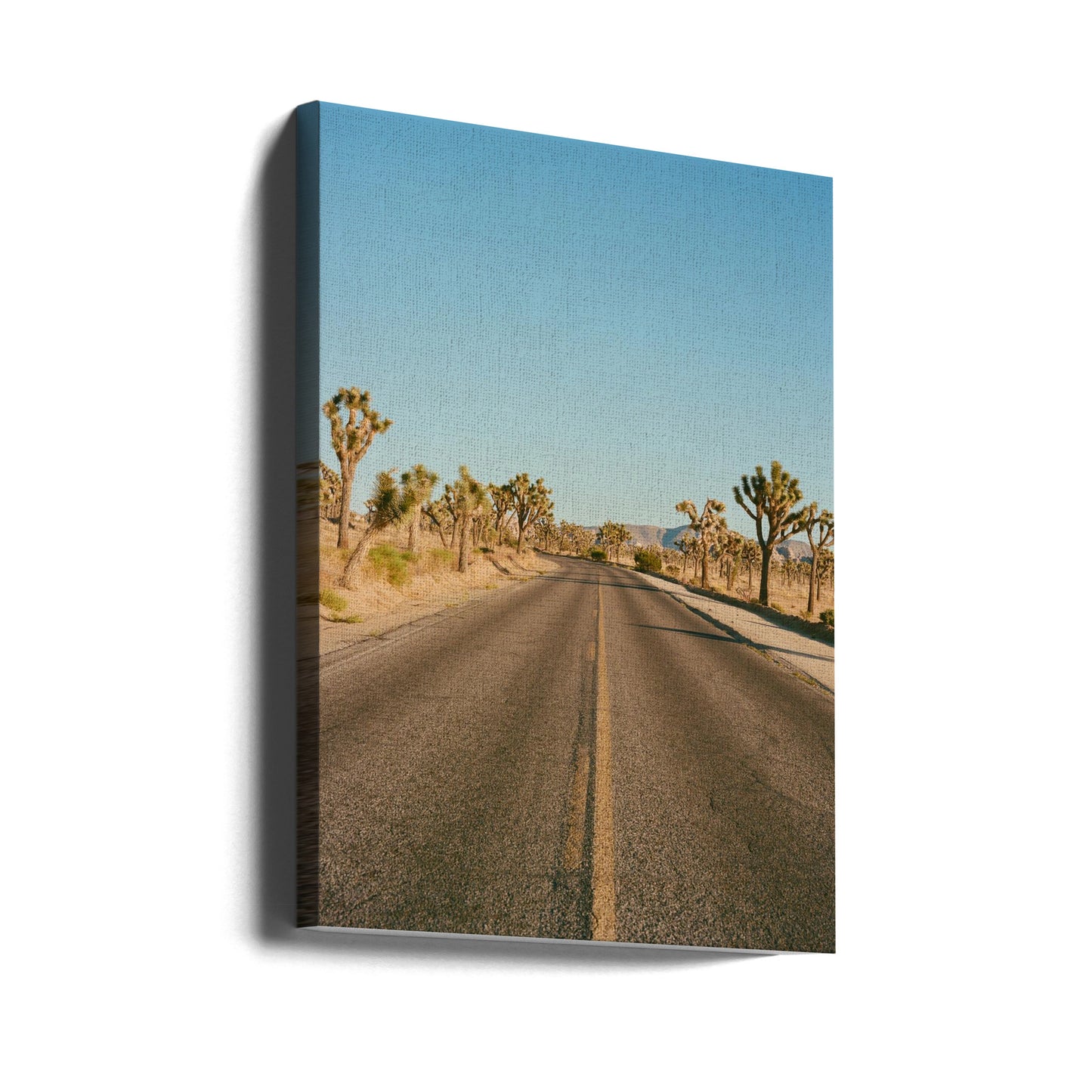 Joshua Tree Road II | Canvastaulut