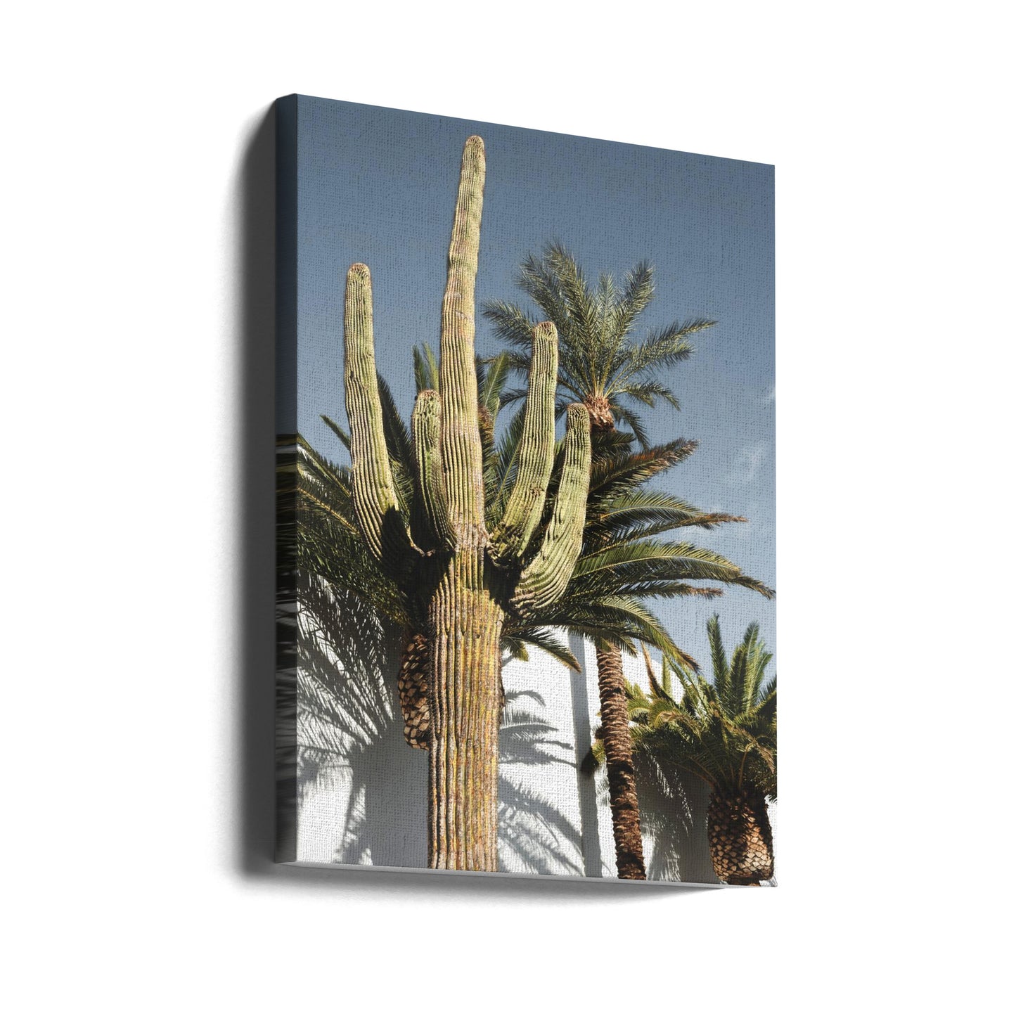 Cactus Las Vegas | Stampe su Tela