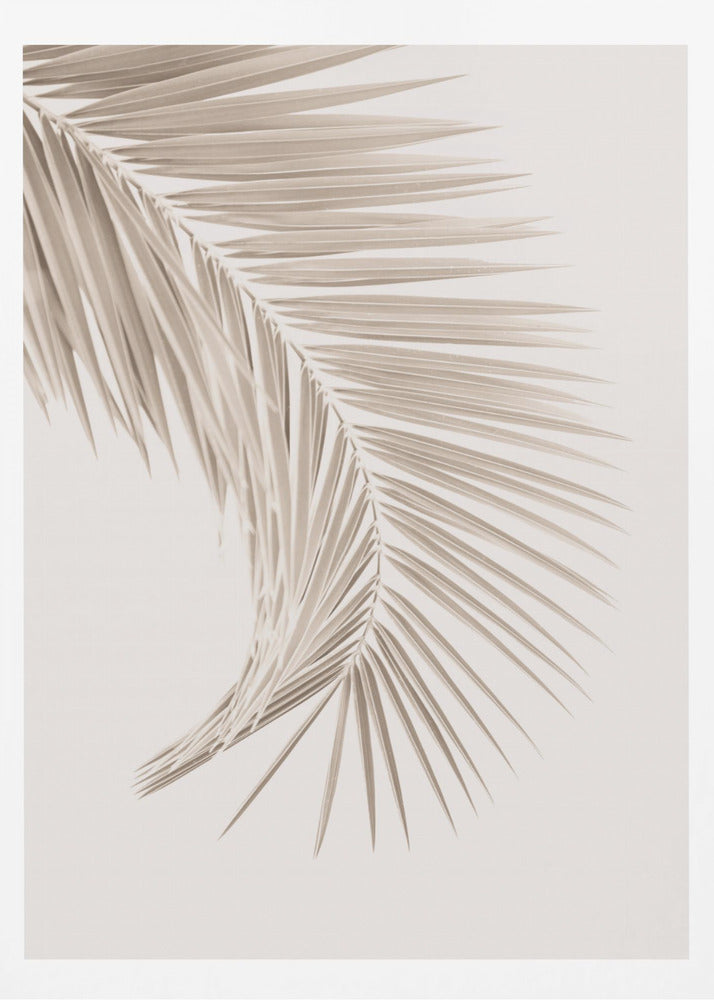 Tan Leaf | Poster