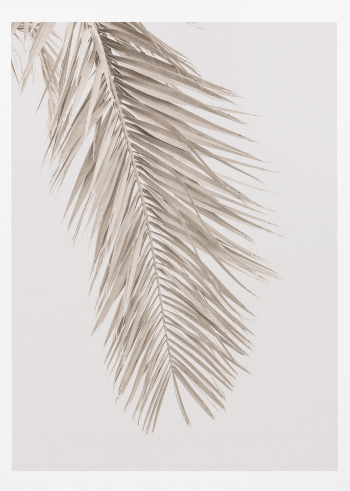 Tan Leaf 2 | Poster