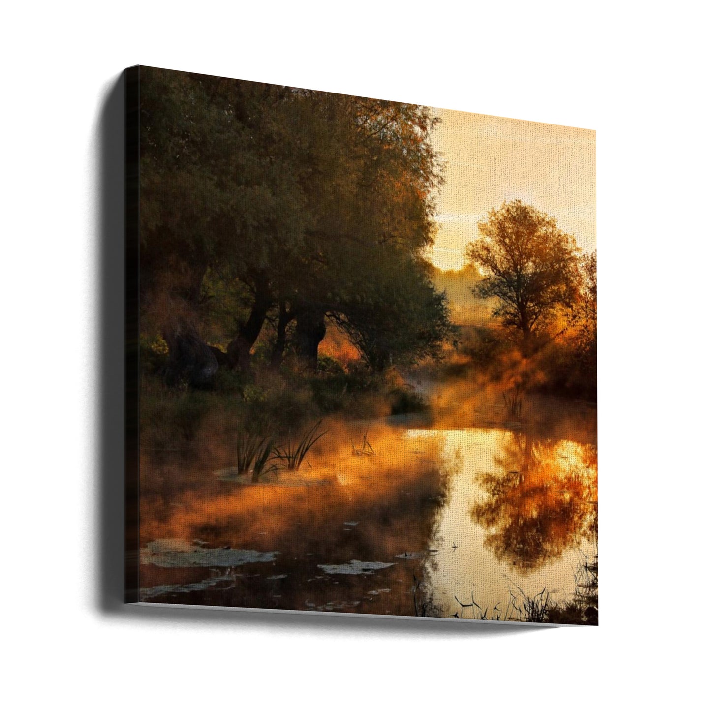 Wenn die Natur mit Licht malt I | Leinwand-Bilder