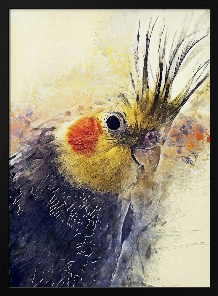 Animal Bird Cockatiel Watercolor Animal Art | Poster