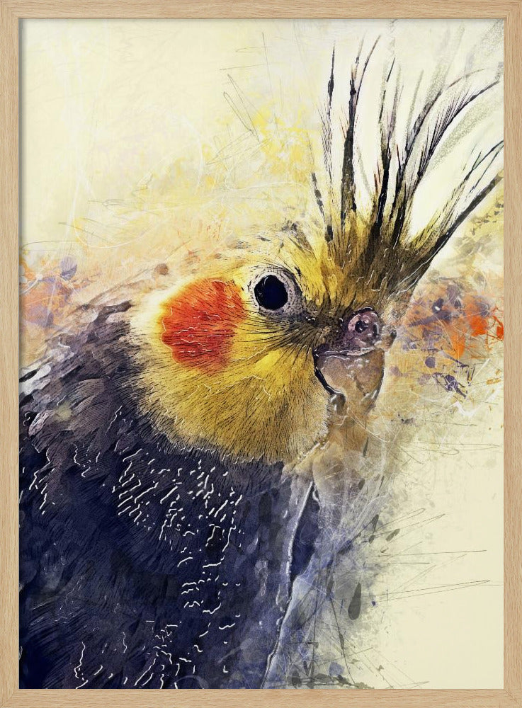 Animal Bird Cockatiel Watercolor Animal Art | Poster