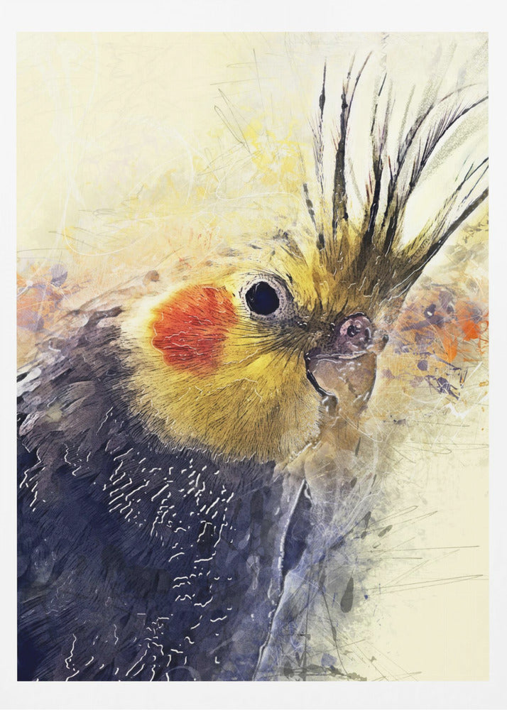 Animal Bird Cockatiel Watercolor Animal Art | Poster