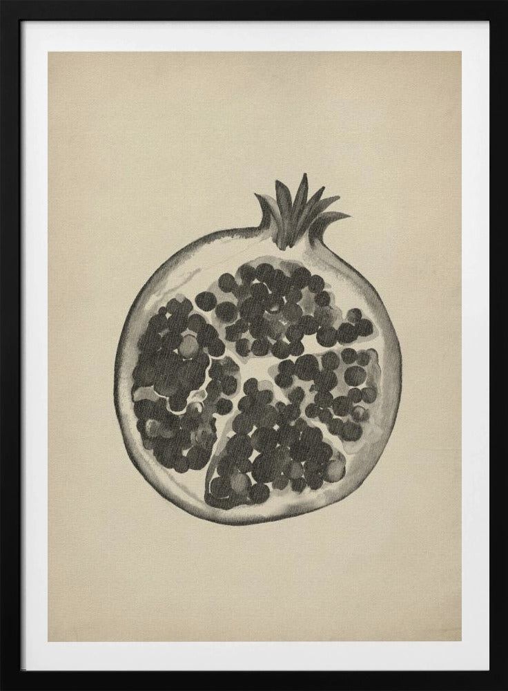 Vintage pomegranate | Poster