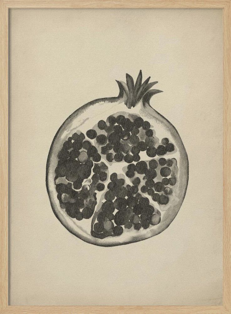 Vintage pomegranate | Poster